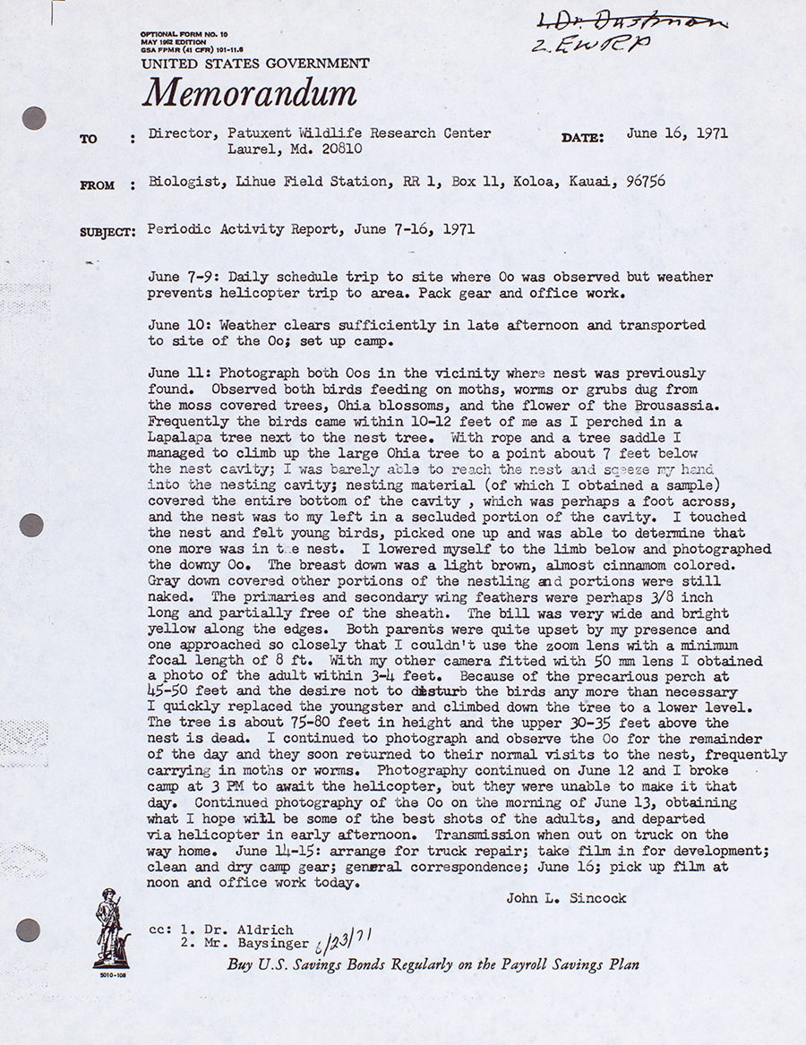 1971 memorandum by John Sincock describing his encounter with the pair of Kaua'i 'ō'ō