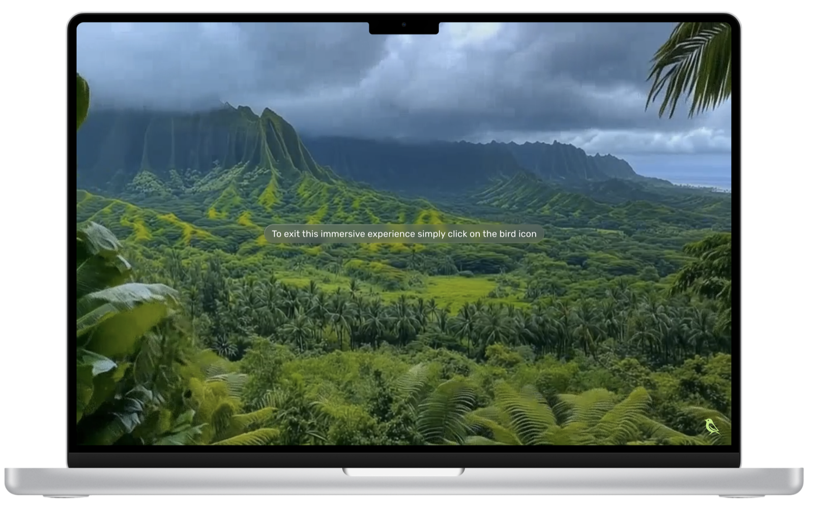 Immersive ecosystem screen dissolving the UI into a soundscape