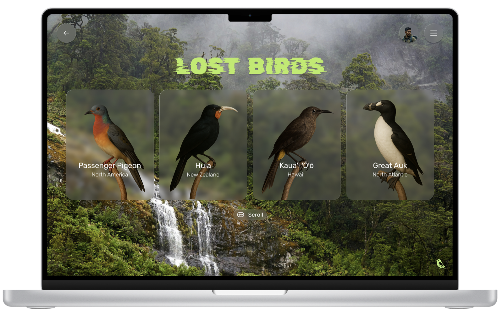 Lost Birds directory screen from the Lost & Endangered prototype