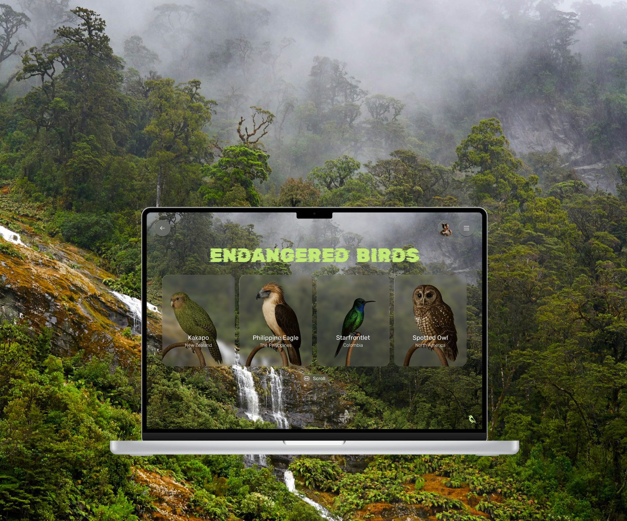 Endangered birds screen layered over a mossy waterfall — Lost & Endangered prototype