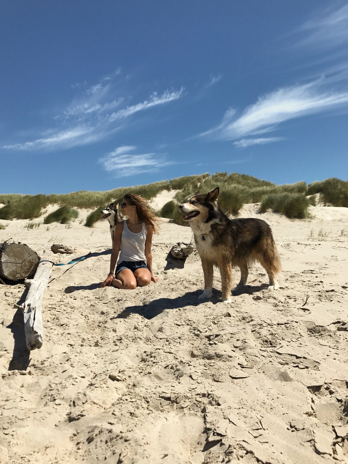 Ivy kneeling in beach dunes with her two huskies