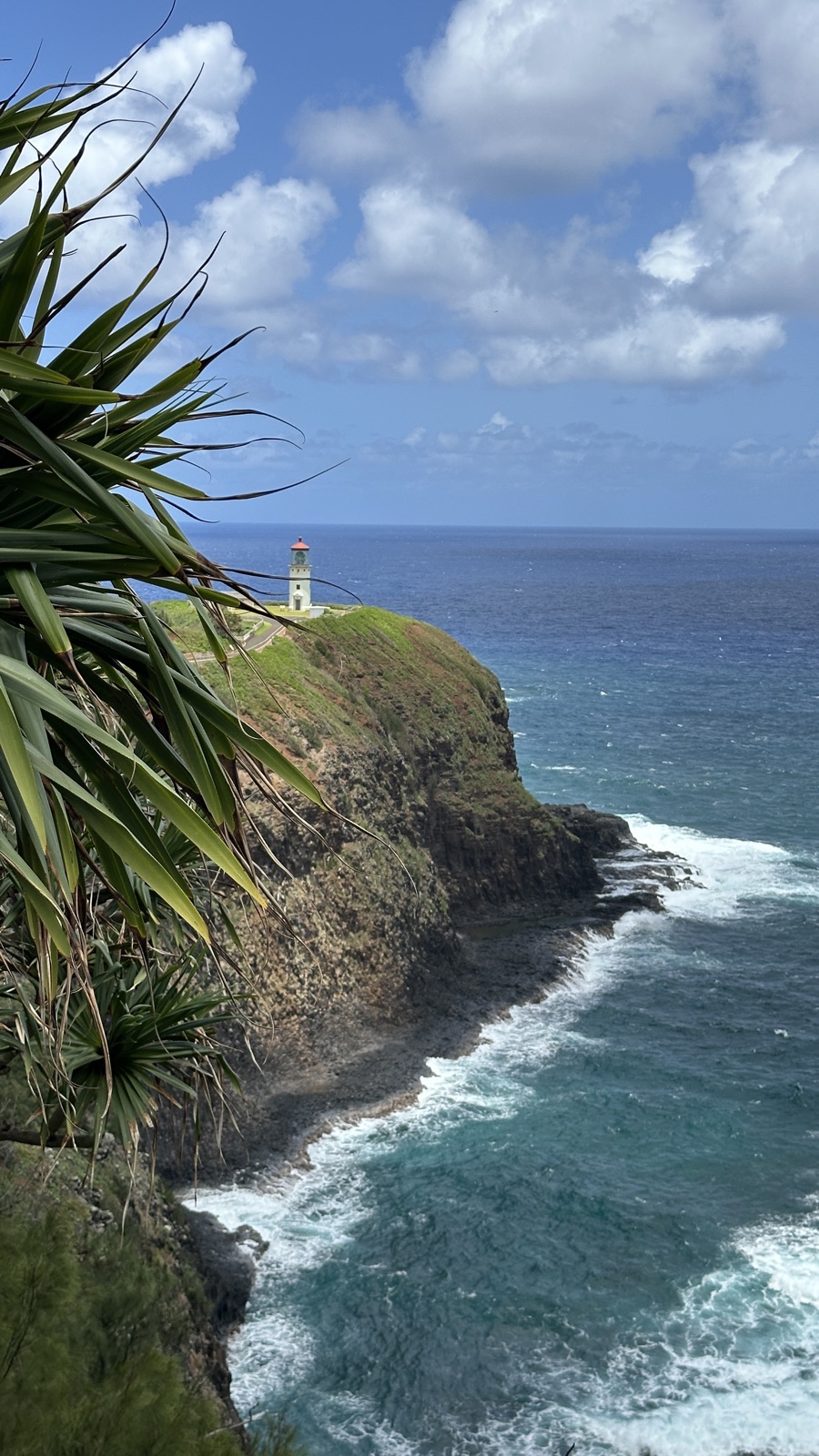 A lighthouse on a green sea cliff over deep blue water
