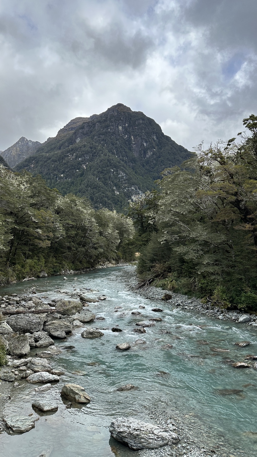 A turquoise river running through mossy beech forest below a peak